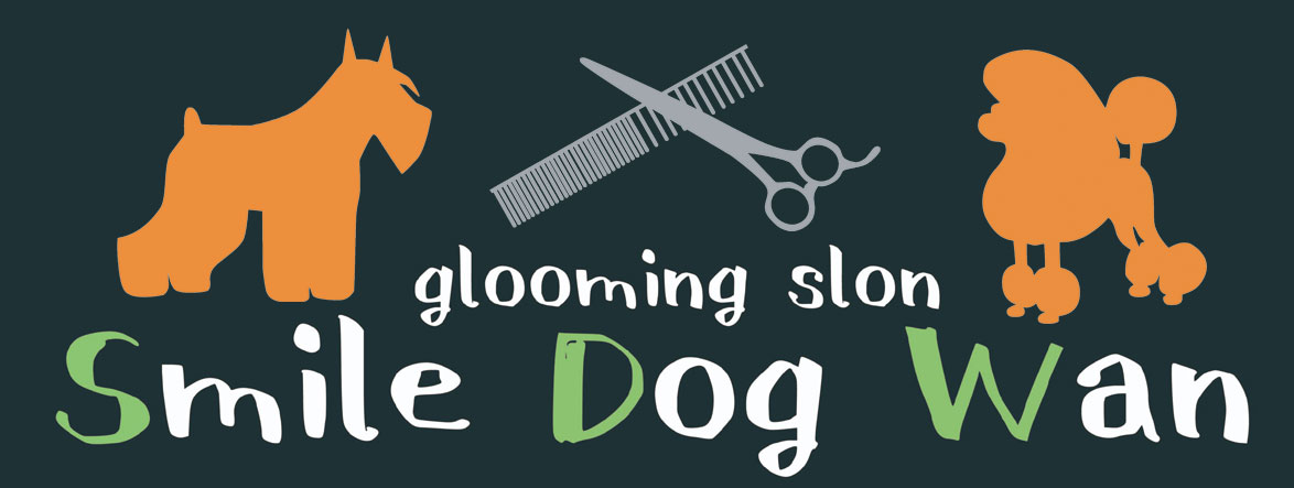 スマイルドッグワン